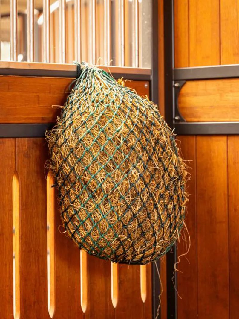 LeMieux Hippo Net Spruce-1