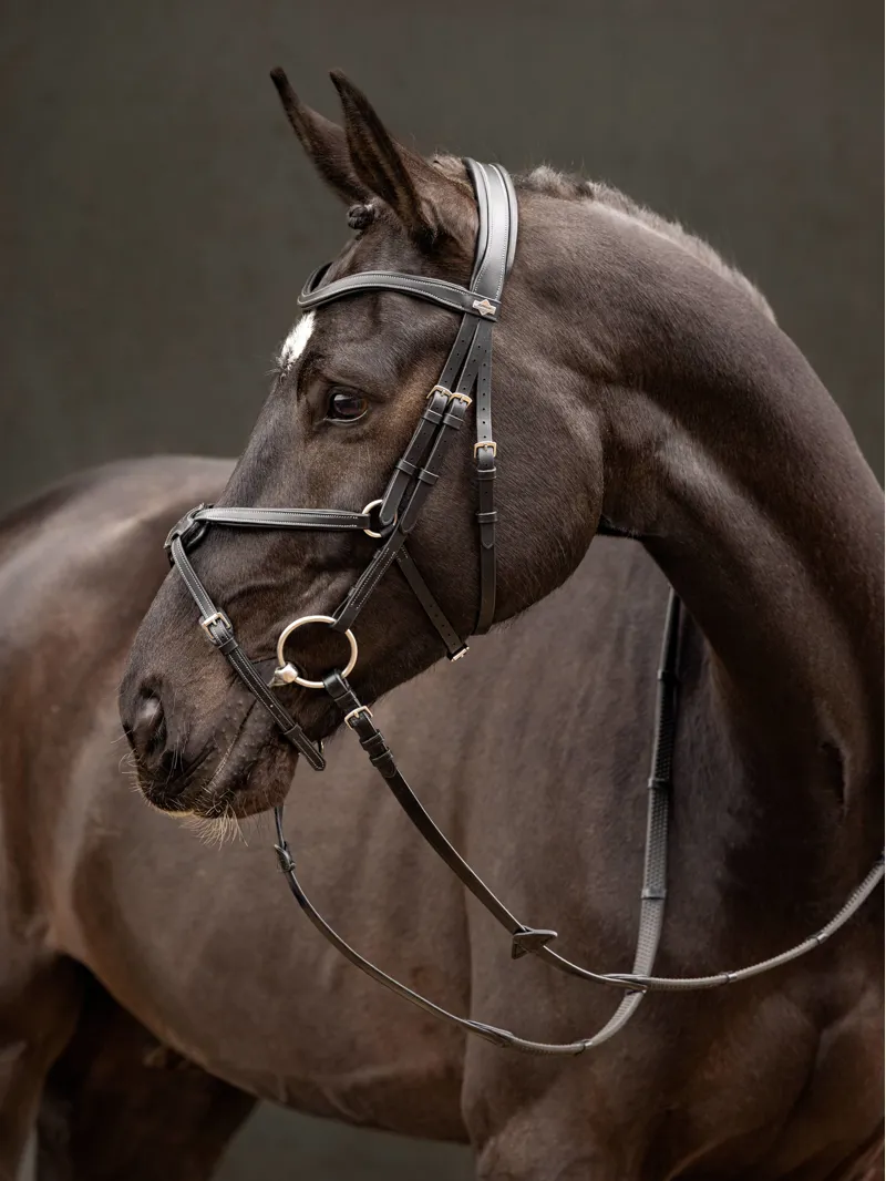 LeMieux Arika Grackle Bridle Black/Silver