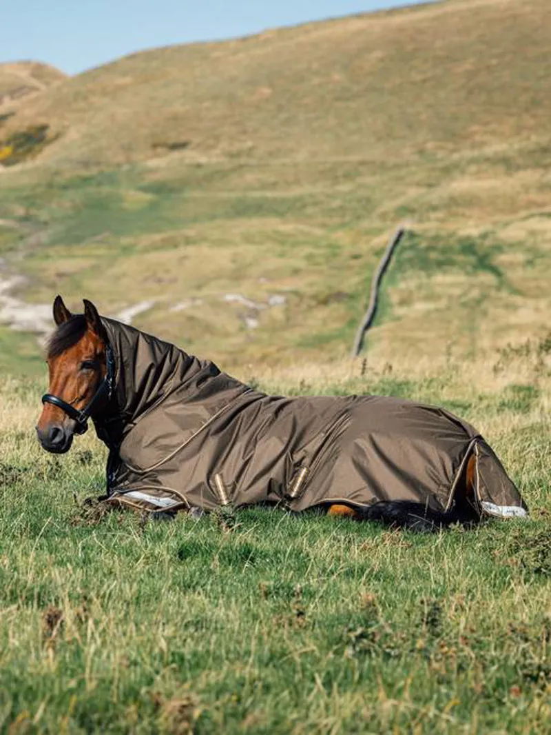 LeMieux Arika Ripstop 100g Turnout Rug Alpine-2