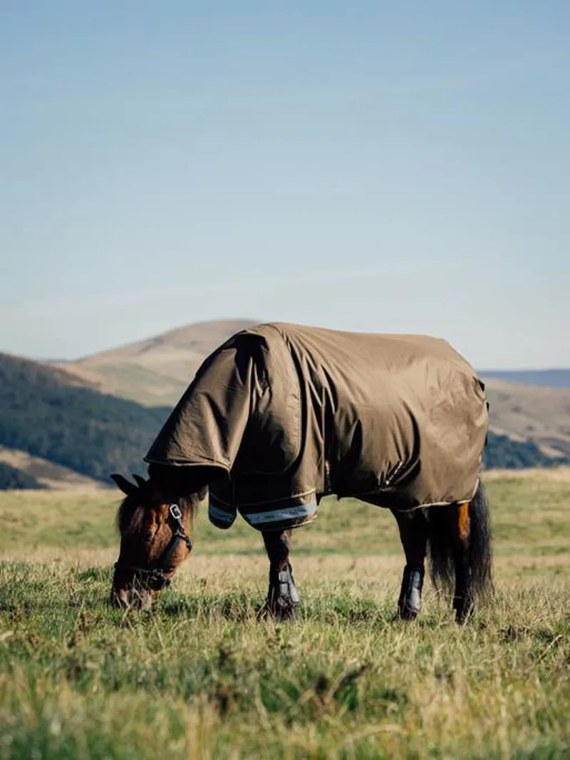 LeMieux Arika Ripstop 100g Turnout Rug Alpine-1