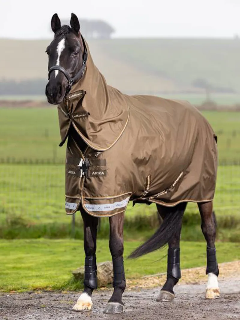 LeMieux Arika Ripstop 100g Turnout Rug Alpine