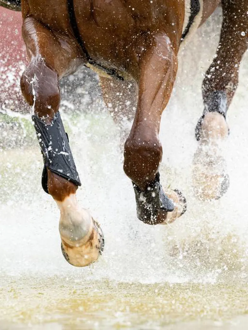 LeMieux MIMsafe XC Boot Front Black-3