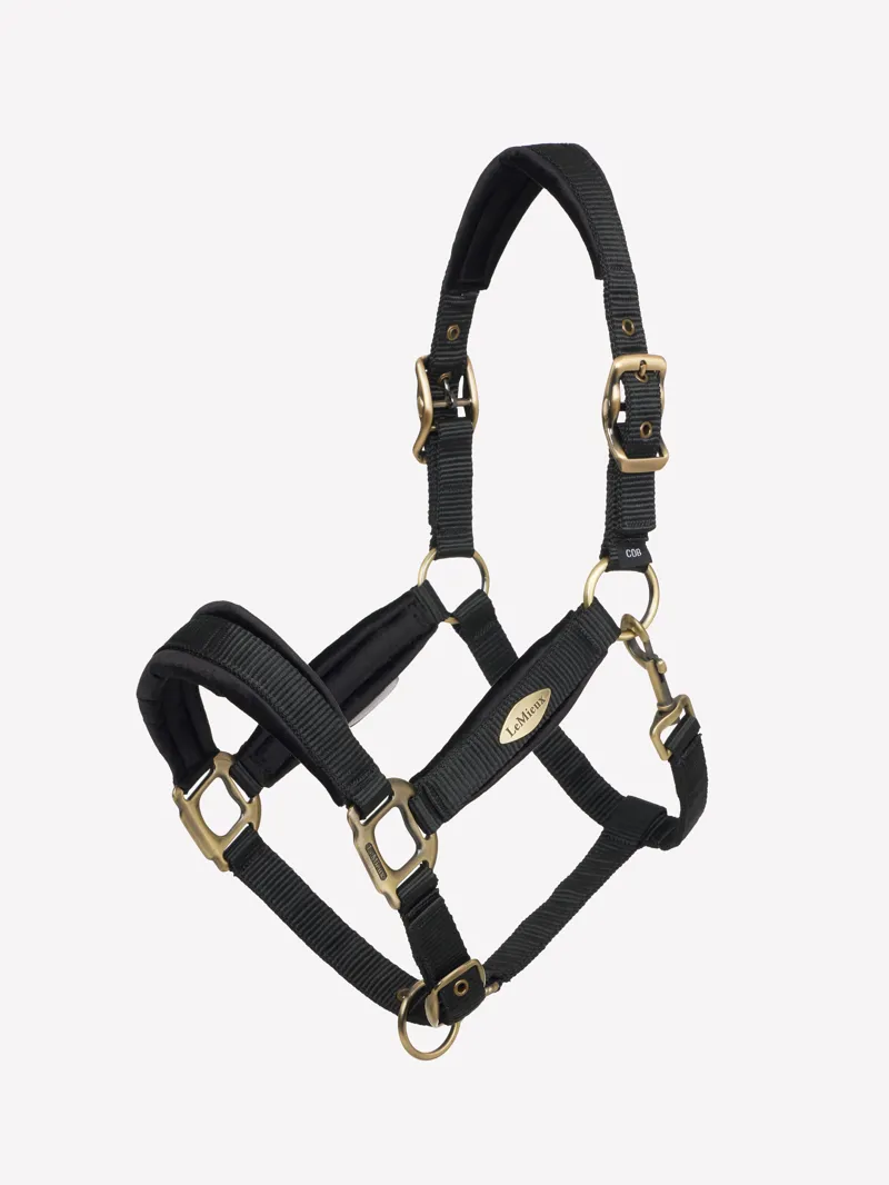 LeMieux Versailles Headcollar Black-1