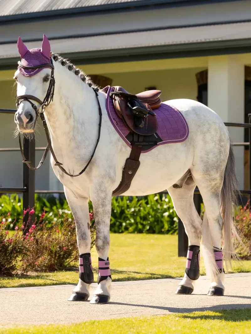 LeMieux Mini Class Fly Hood - Mallow-2