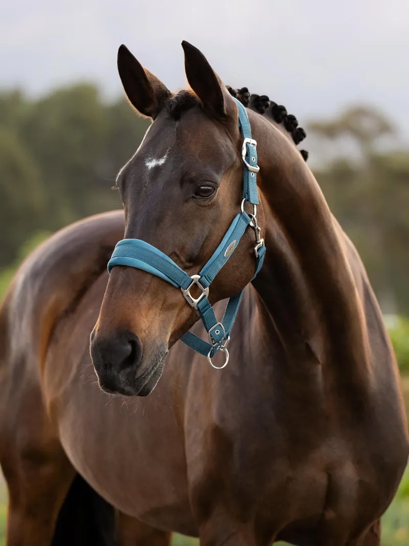 LeMieux Versailles Head Collar - Jungle-1