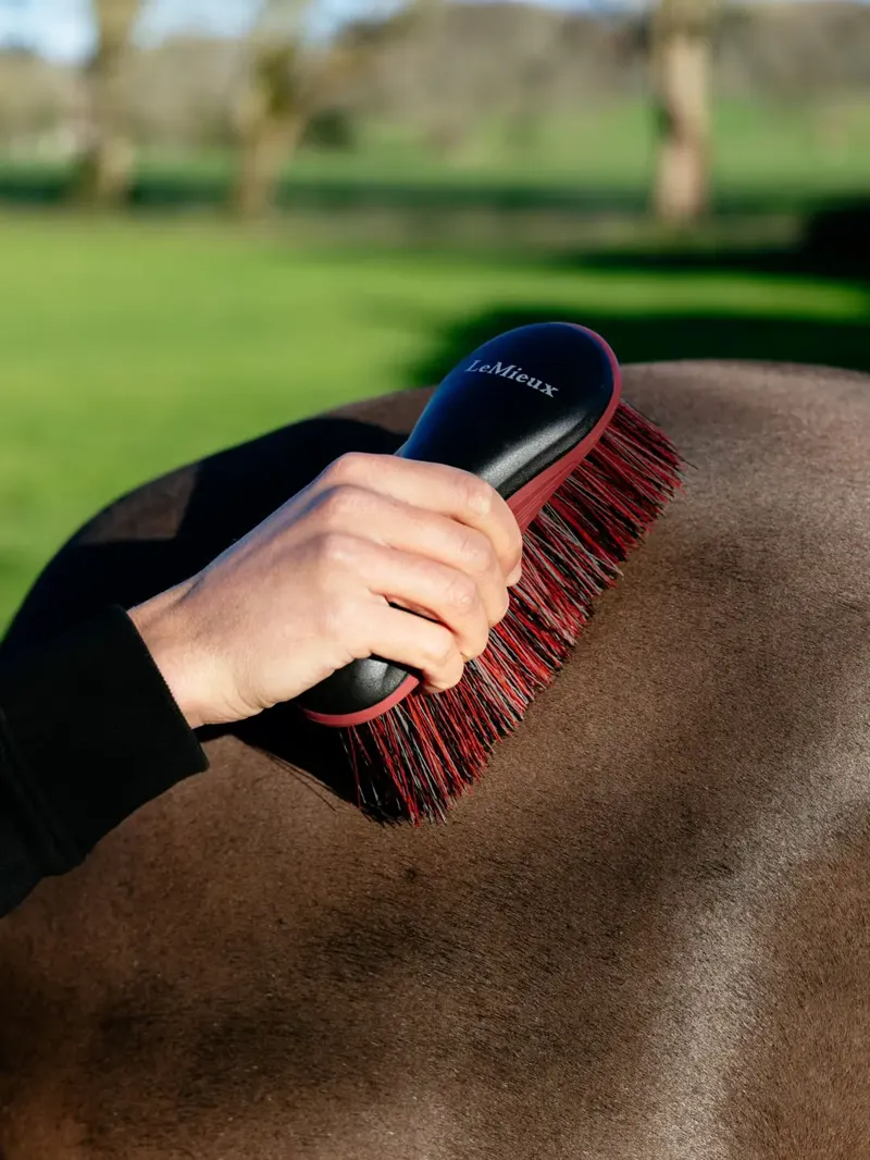 LeMieux Flicky Brush - Black-1