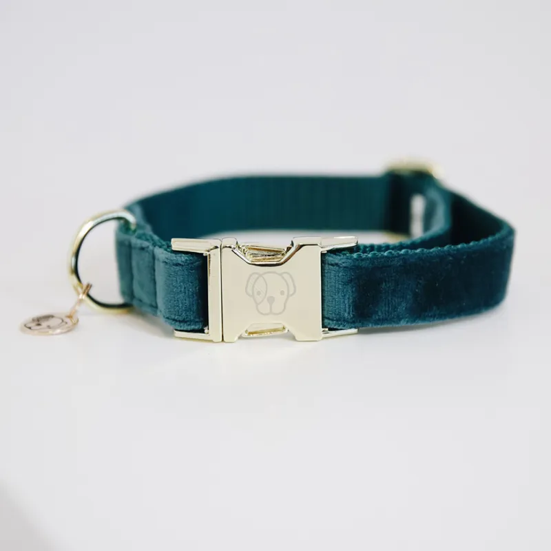 Kentucky Dogwear Dog Collar Velvet Emerald