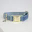 Kentucky Dogwear Dog Collar Velvet Light Blue