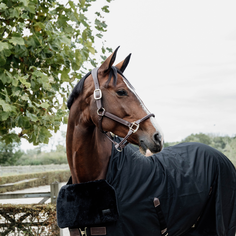 Kentucky Horsewear Horse Bib Chest Protection Sheepskin Black-1