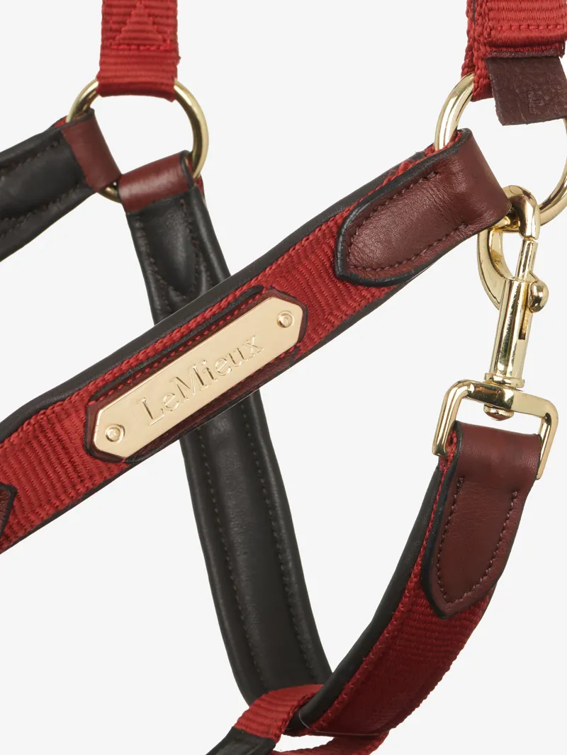 LeMieux Capella Headcollar Sienna-1