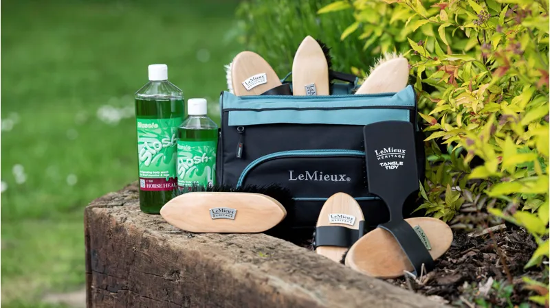 LeMieux ProKit Lite Grooming Bag Sage-1