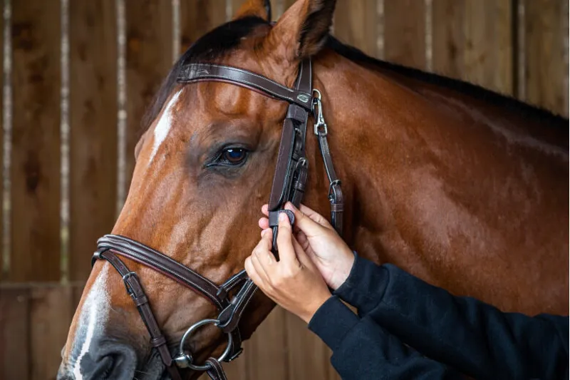 Dy'on Leather Horse Blinkers Black-1