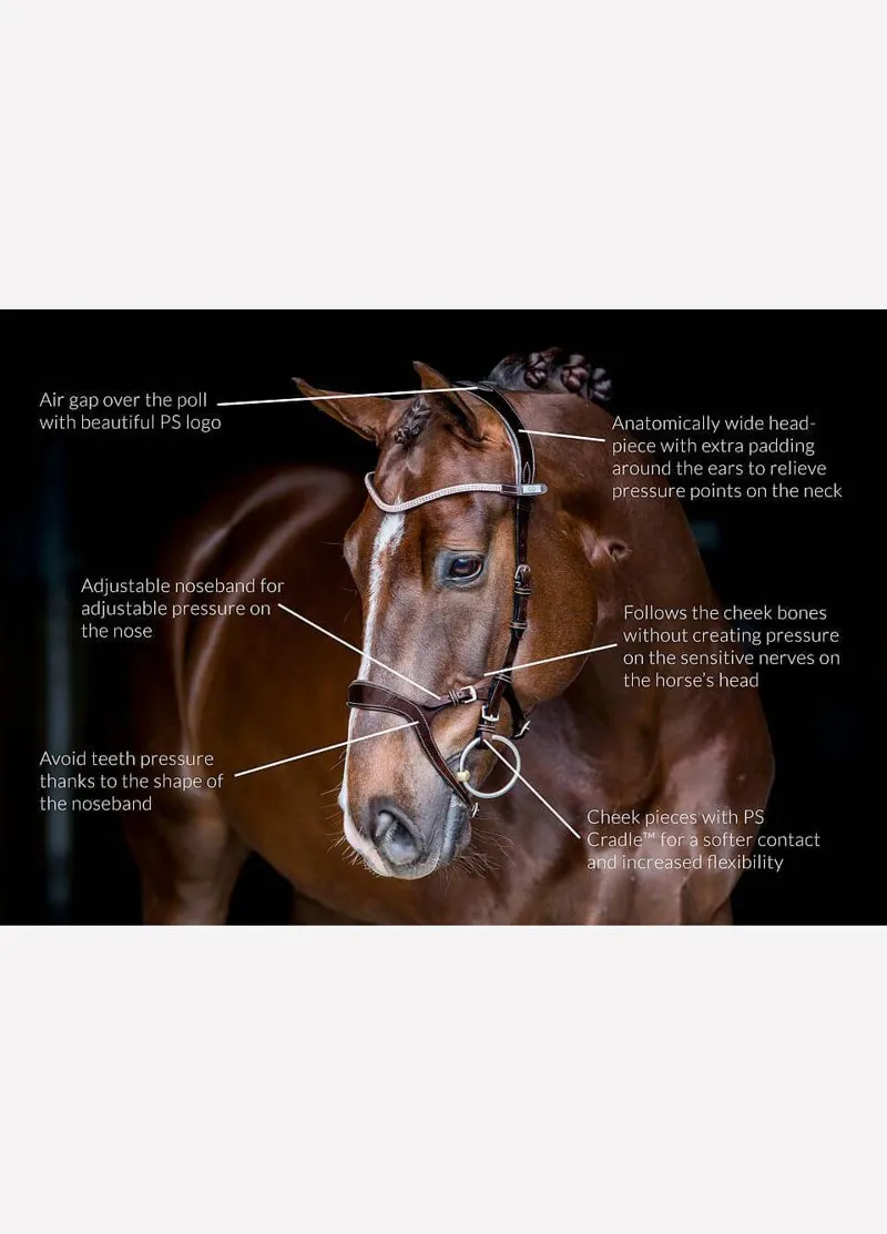 PS of Sweden Nirak Bridle Black-1