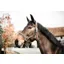 Kentucky Horsewear Plaited Nylon Halter Grey