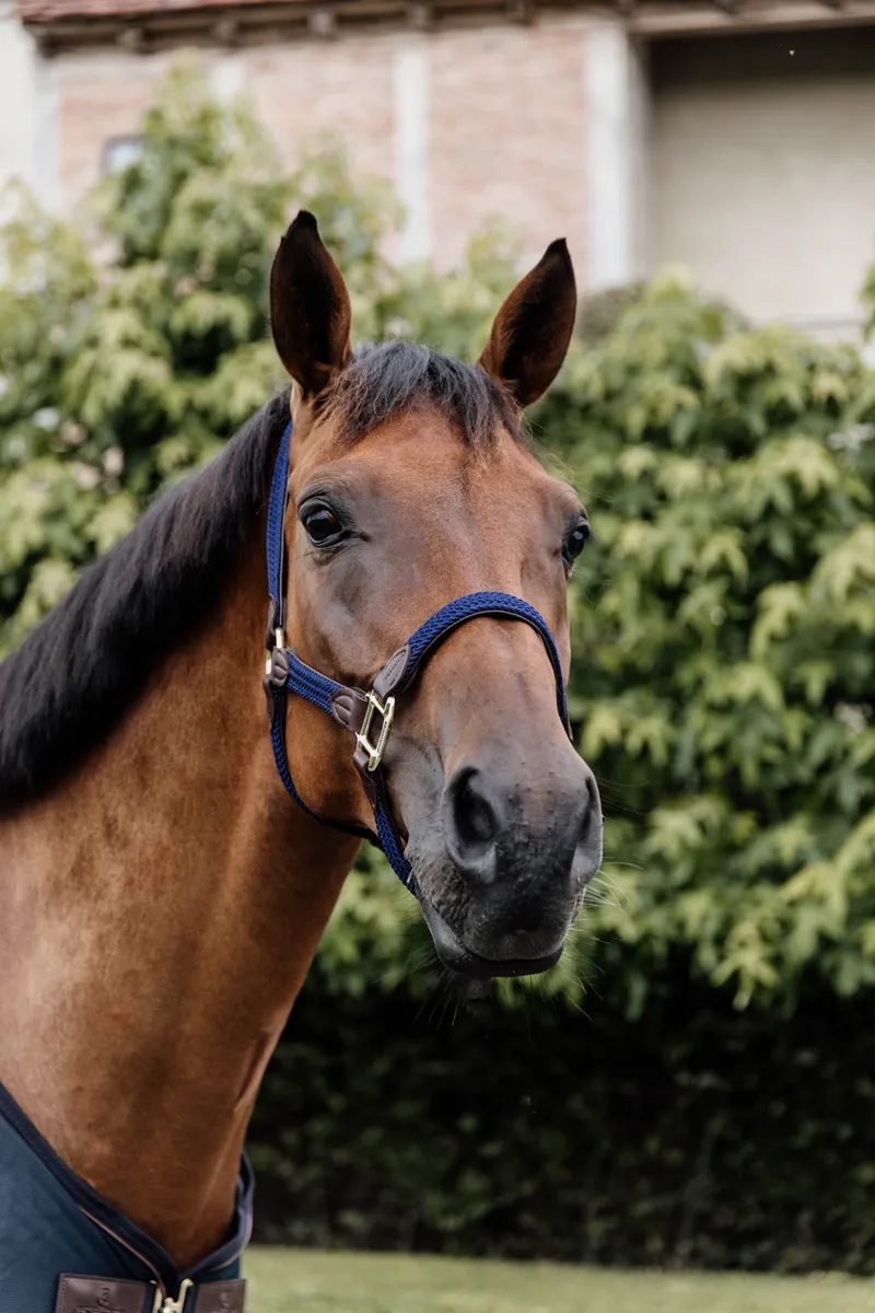 Kentucky Horsewear Plaited Nylon Halter Navy-1