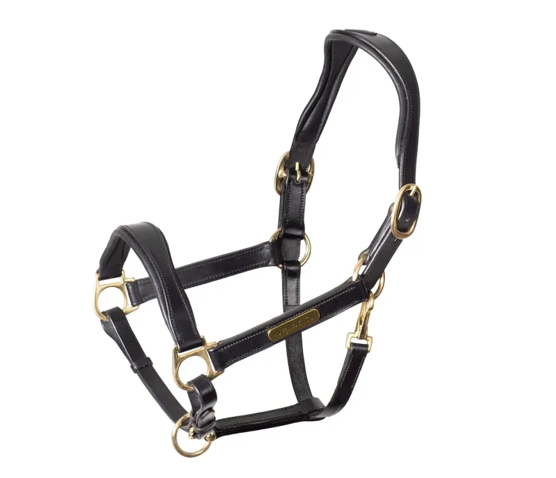 Rapida Cushioned Leather Headcollar Black