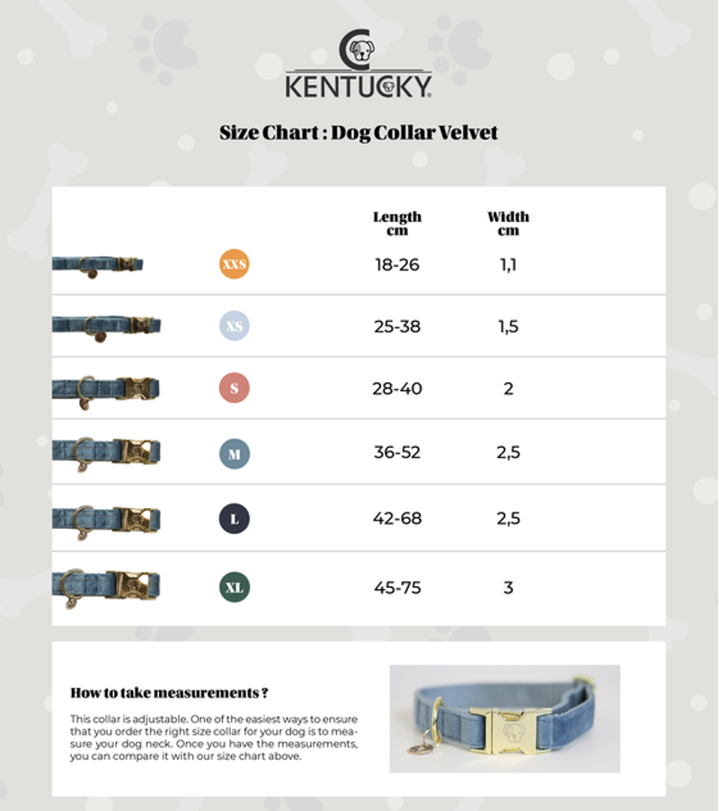 Kentucky Dogwear Dog Collar Velvet Light Blue-2