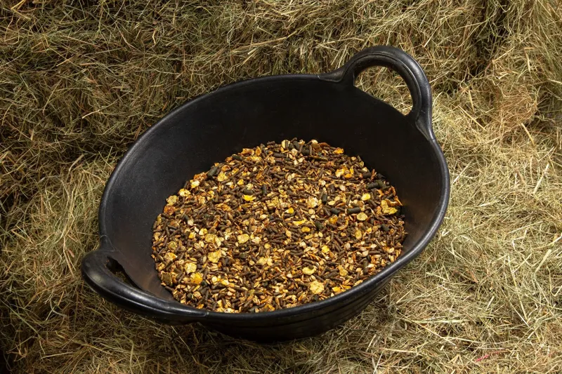 Spillers Shine+ Conditioning Mix 20kg-3