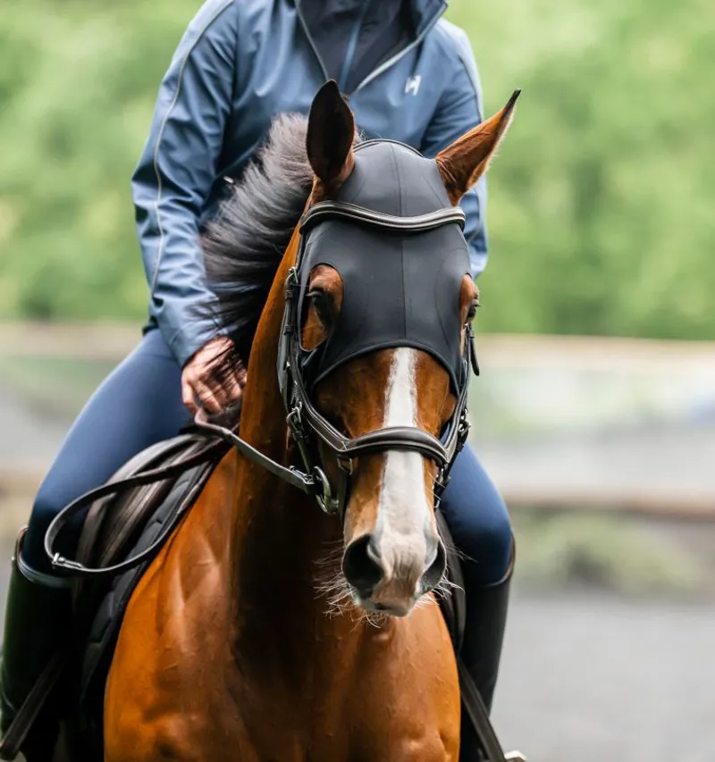 Horseware Ionic Therapy Calming Face Mask-4