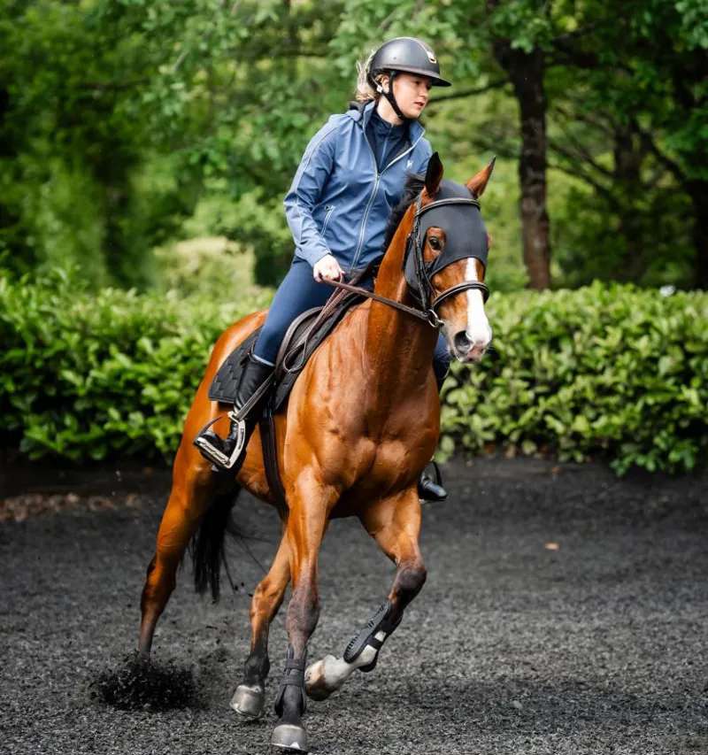 Horseware Ionic Therapy Calming Face Mask-3