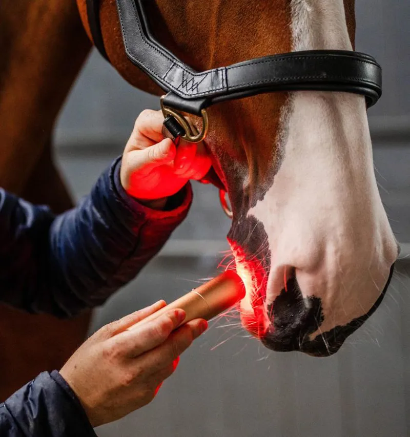 Horseware LED Red Light Therapy Wand-2