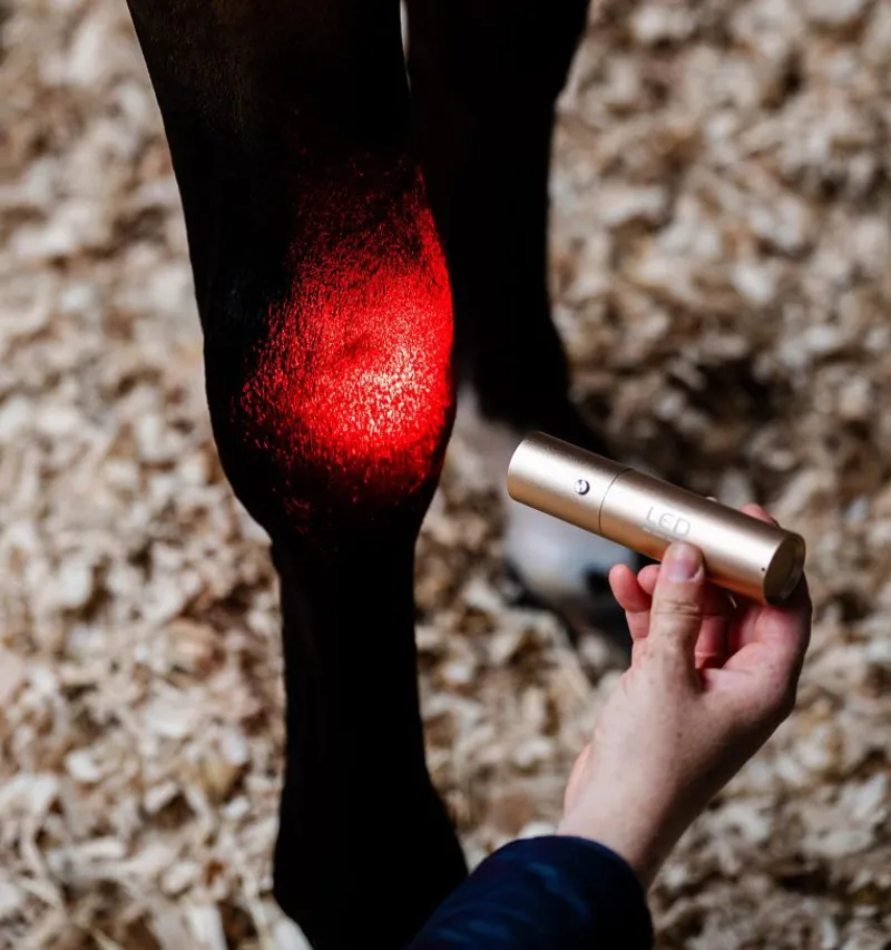 Horseware LED Red Light Therapy Wand-3