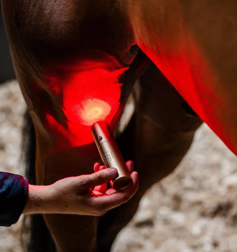 Horseware LED Red Light Therapy Wand-4