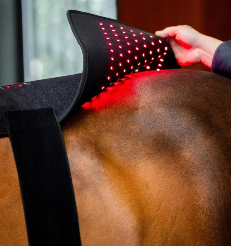 Horseware LED Red Light Therapy Pad-7