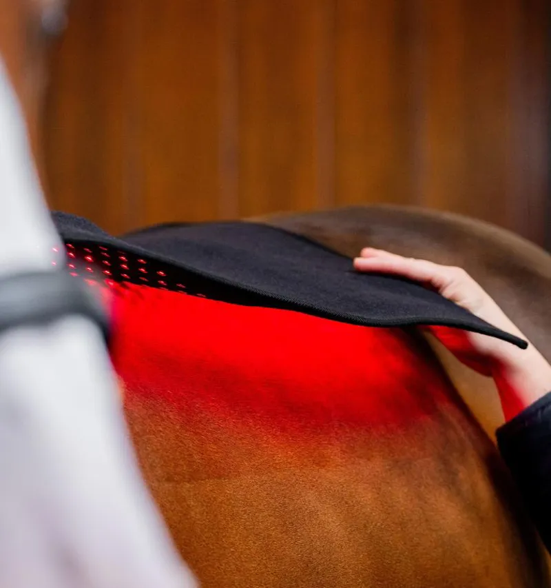 Horseware LED Red Light Therapy Pad-5