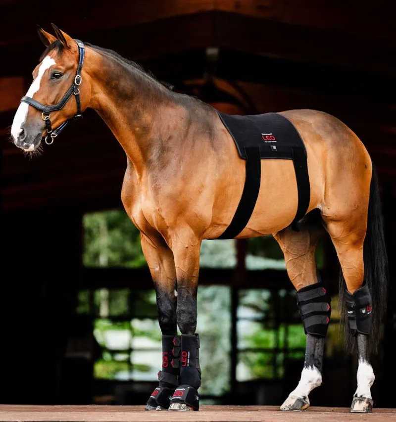 Horseware LED Red Light Therapy Pad-4