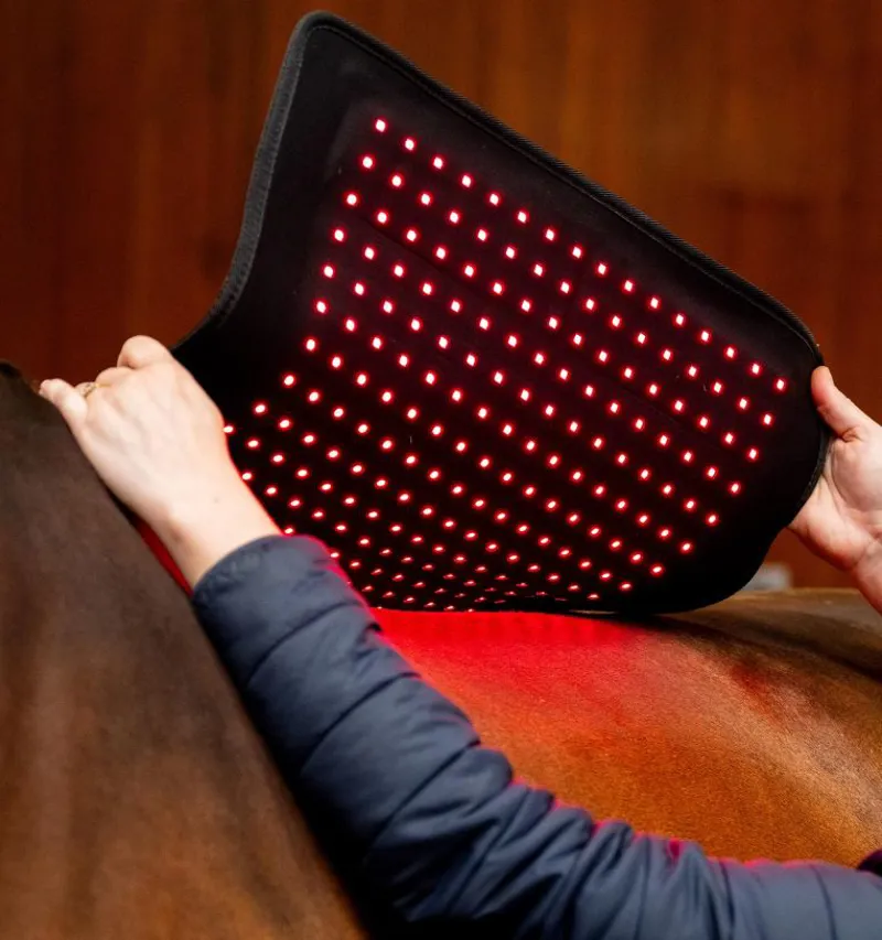 Horseware LED Red Light Therapy Pad-3