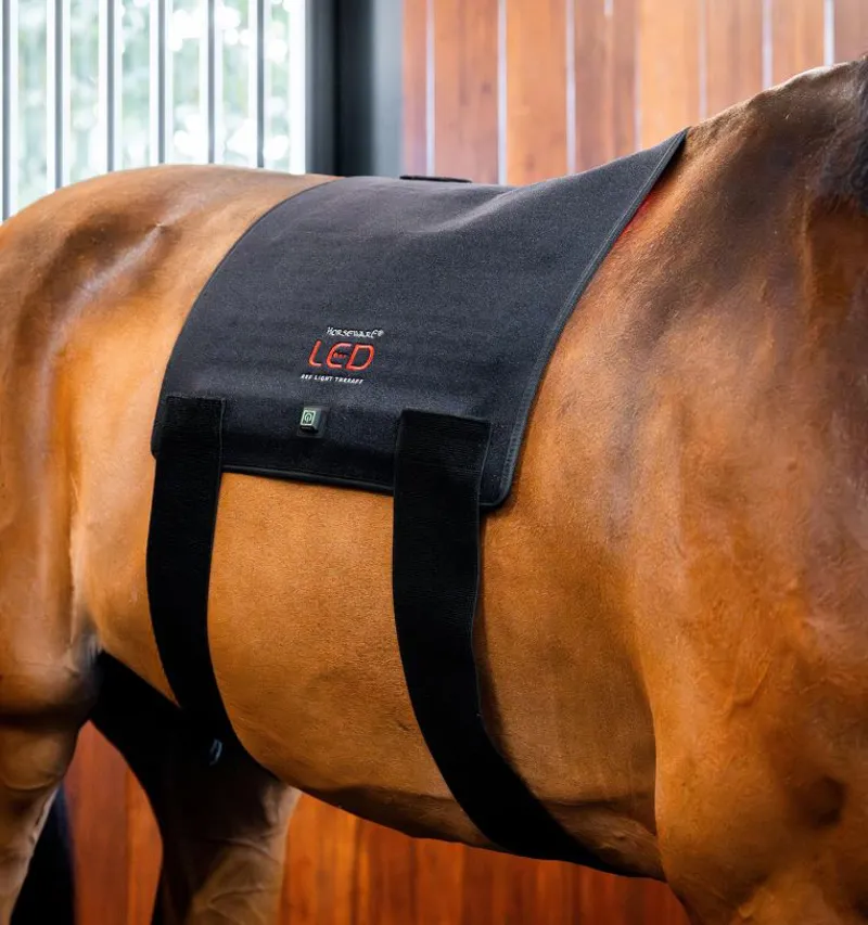 Horseware LED Red Light Therapy Pad-1