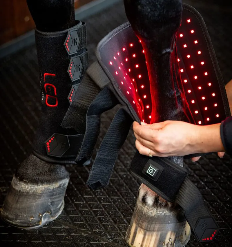Horseware LED Red Therapy Leg -4