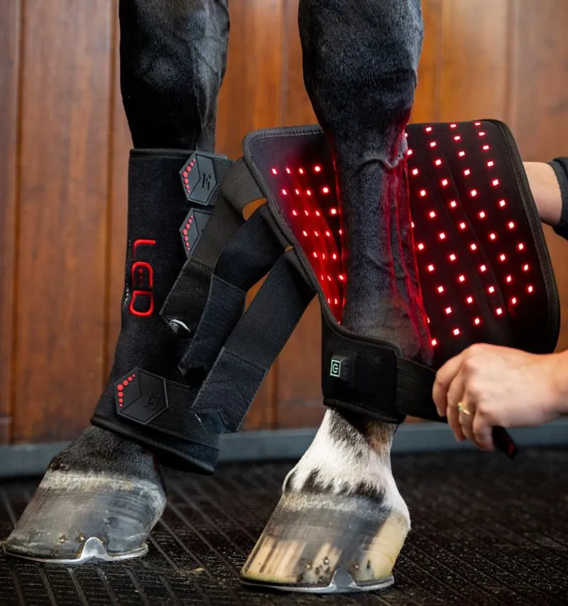 Horseware LED Red Therapy Leg -5