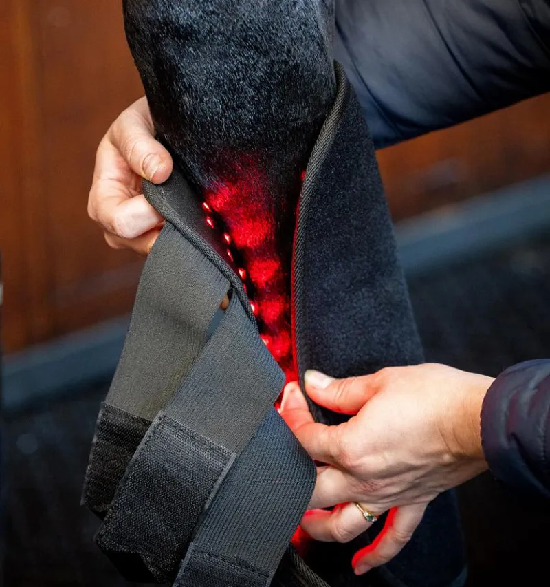 Horseware LED Red Therapy Leg -7