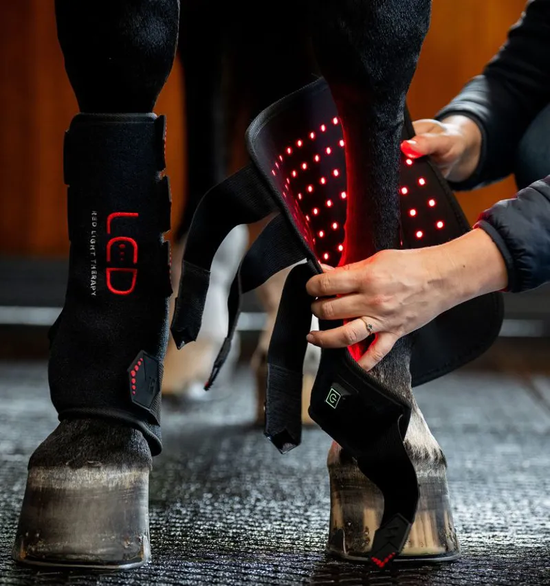 Horseware LED Red Therapy Leg -3