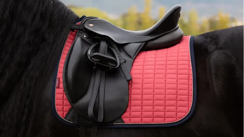 LeMieux Suede Dressage Square - Cranberry-3