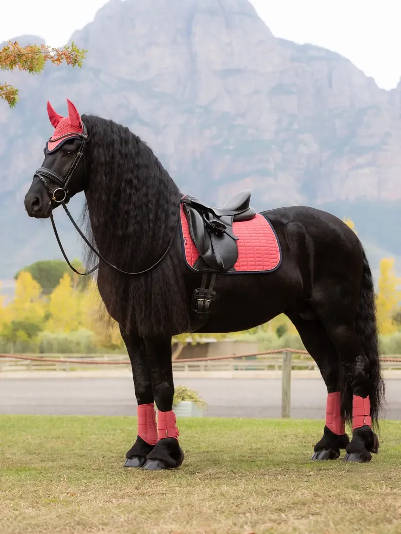 LeMieux Suede Dressage Square - Cranberry-2