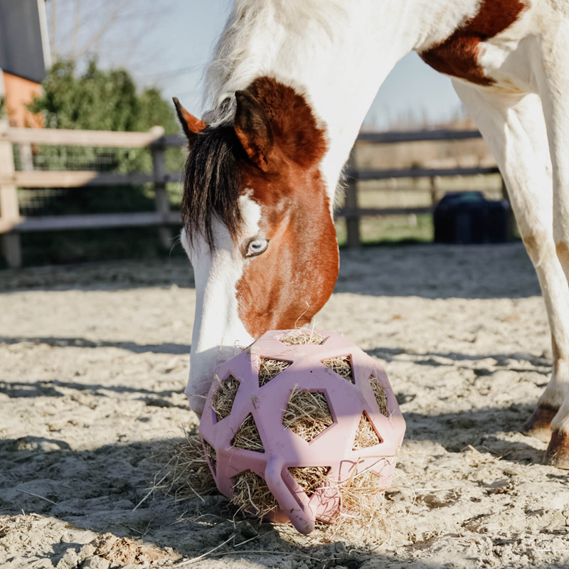 Kentucky Horsewear Relax Horse Play Hay Ball Old Rose-1