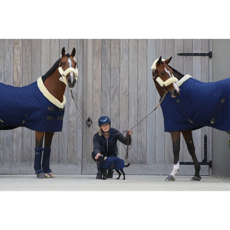 Kentucky Horsewear Stable Rug Navy 400g-4
